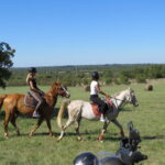 QUAD & HORSE