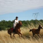 QUAD & HORSE