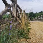Wonderful walking path – Uvala Blaz
