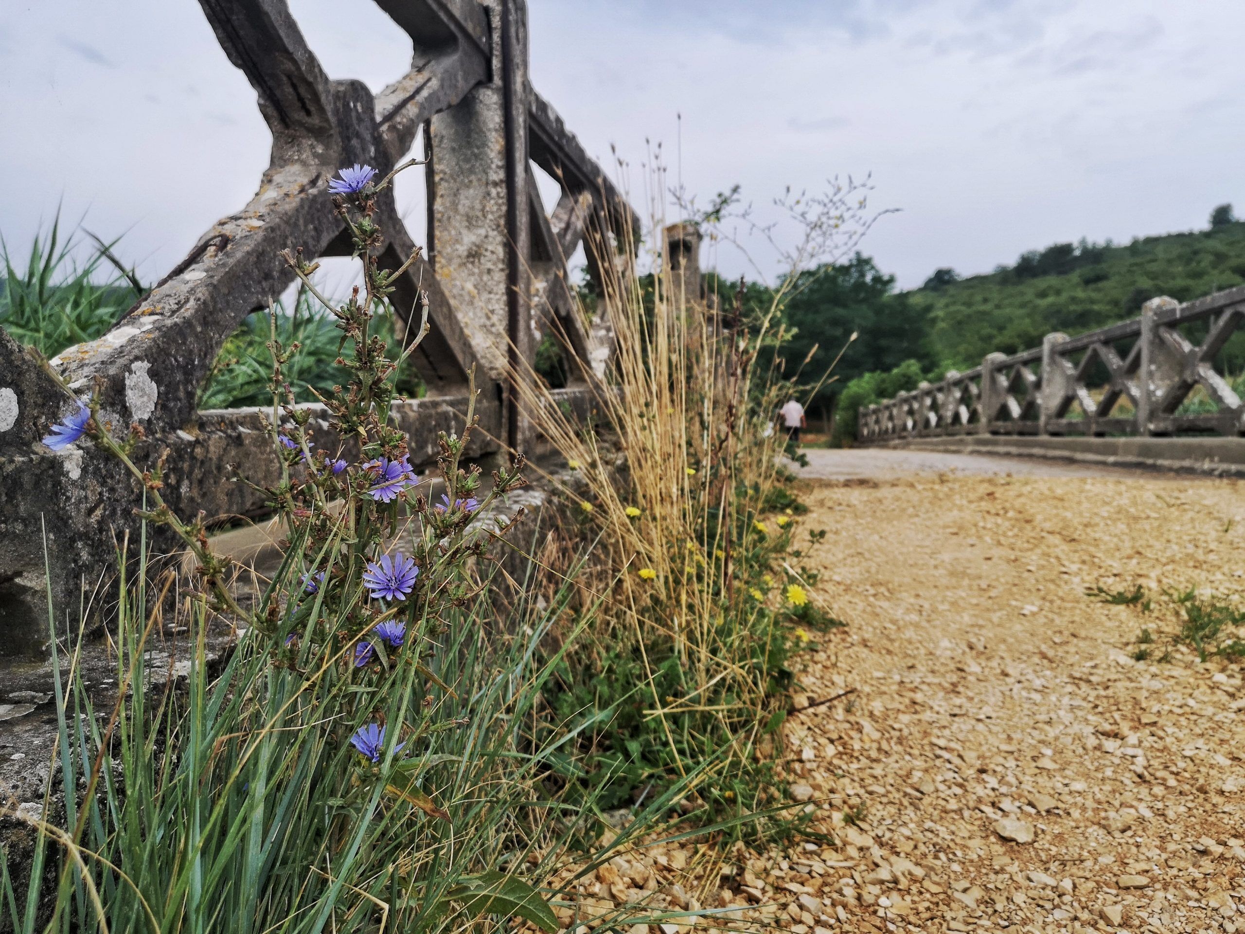 Wonderful walking path – Uvala Blaz
