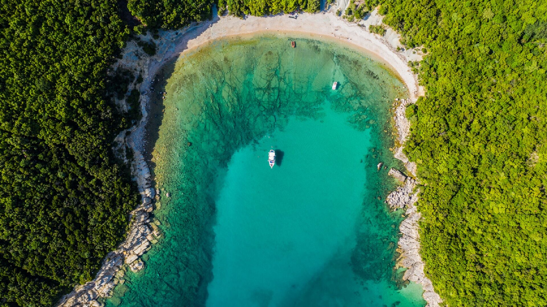 Boat excursion & snorkeling