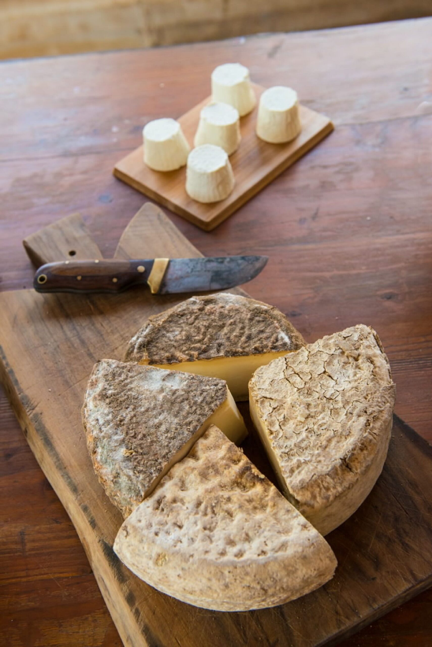 CHEESE TASTING & QUAD/BUGGY TOUR