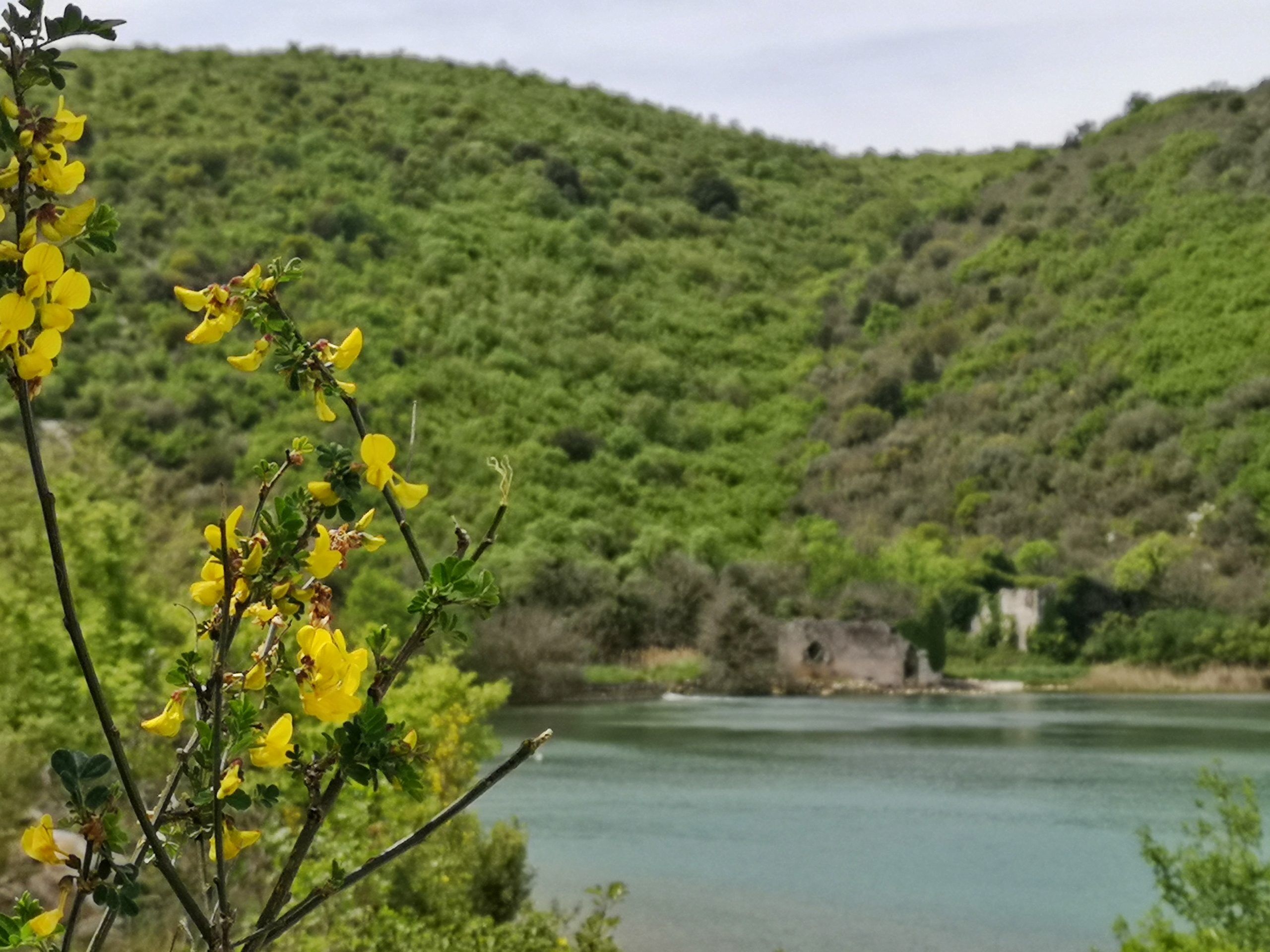 Wonderful walking path – Uvala Blaz