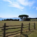 Istra Relax Day