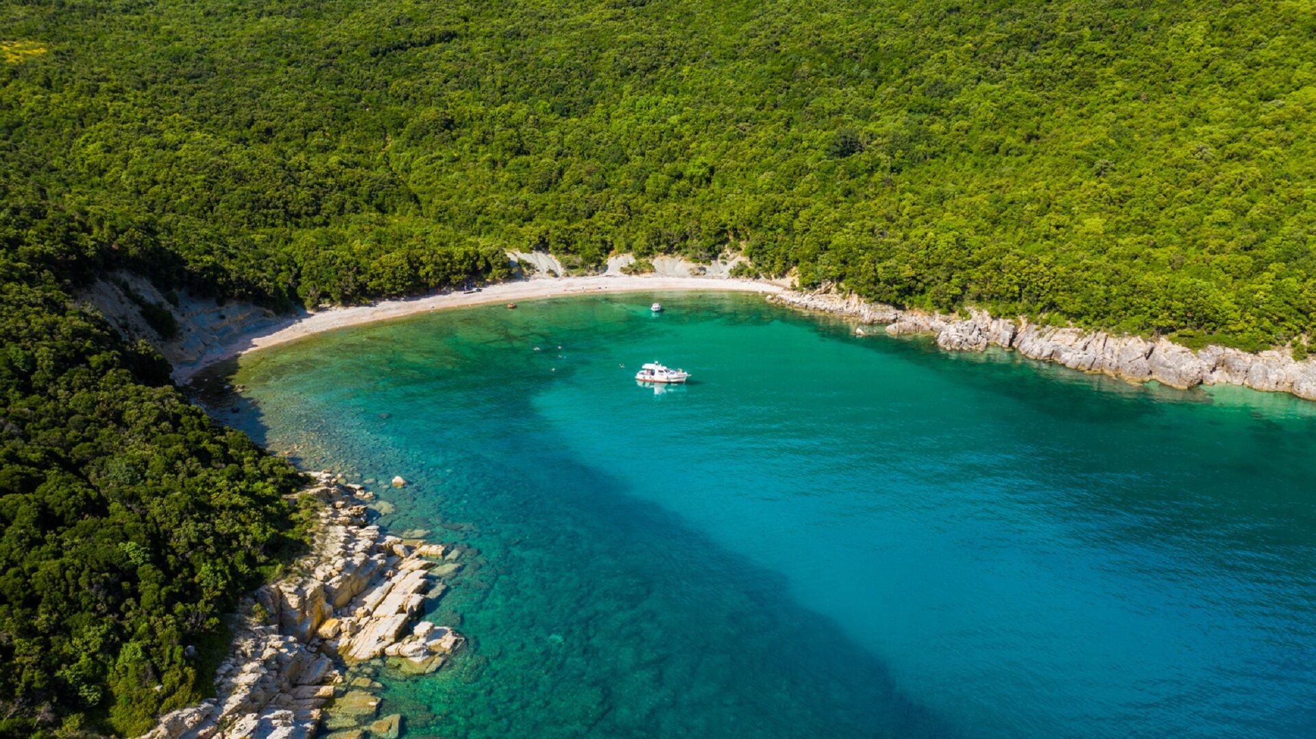 Boat excursion & snorkeling