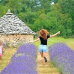 Magic Lavander fields