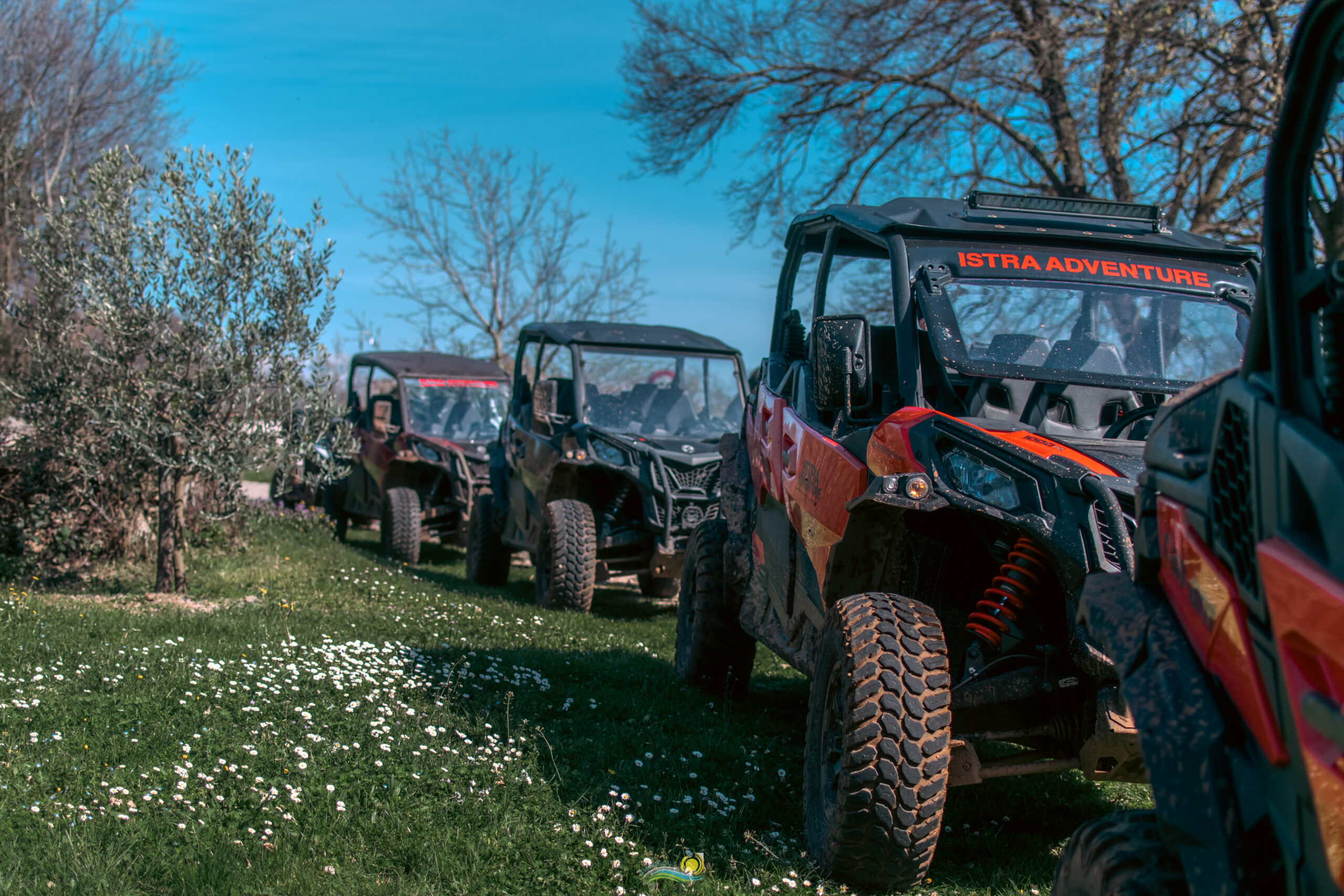 BUGGY Family tour