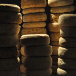 CHEESE TASTING & QUAD/BUGGY TOUR