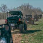 Magic Lavander fields