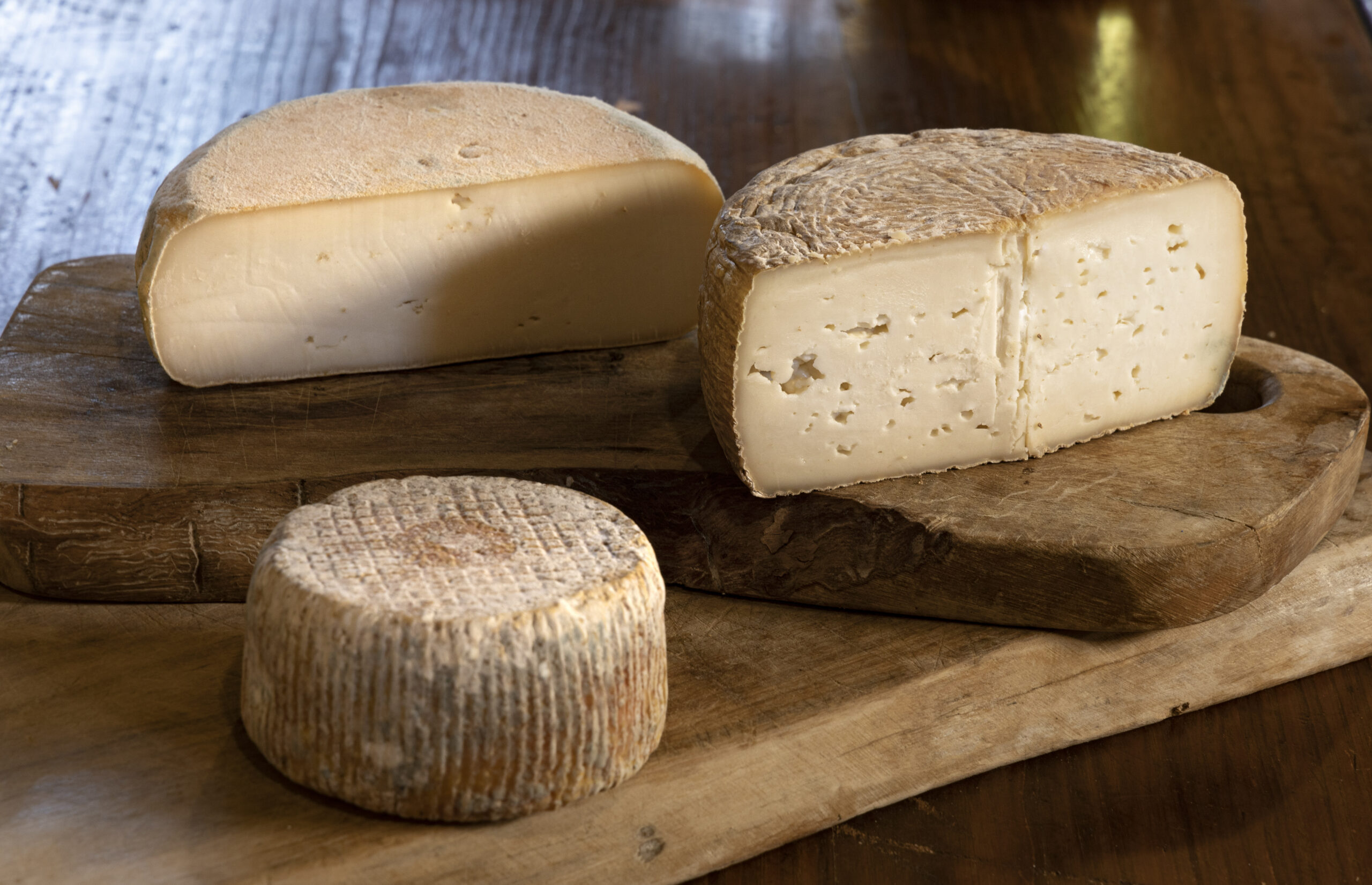 CHEESE TASTING & QUAD/BUGGY TOUR