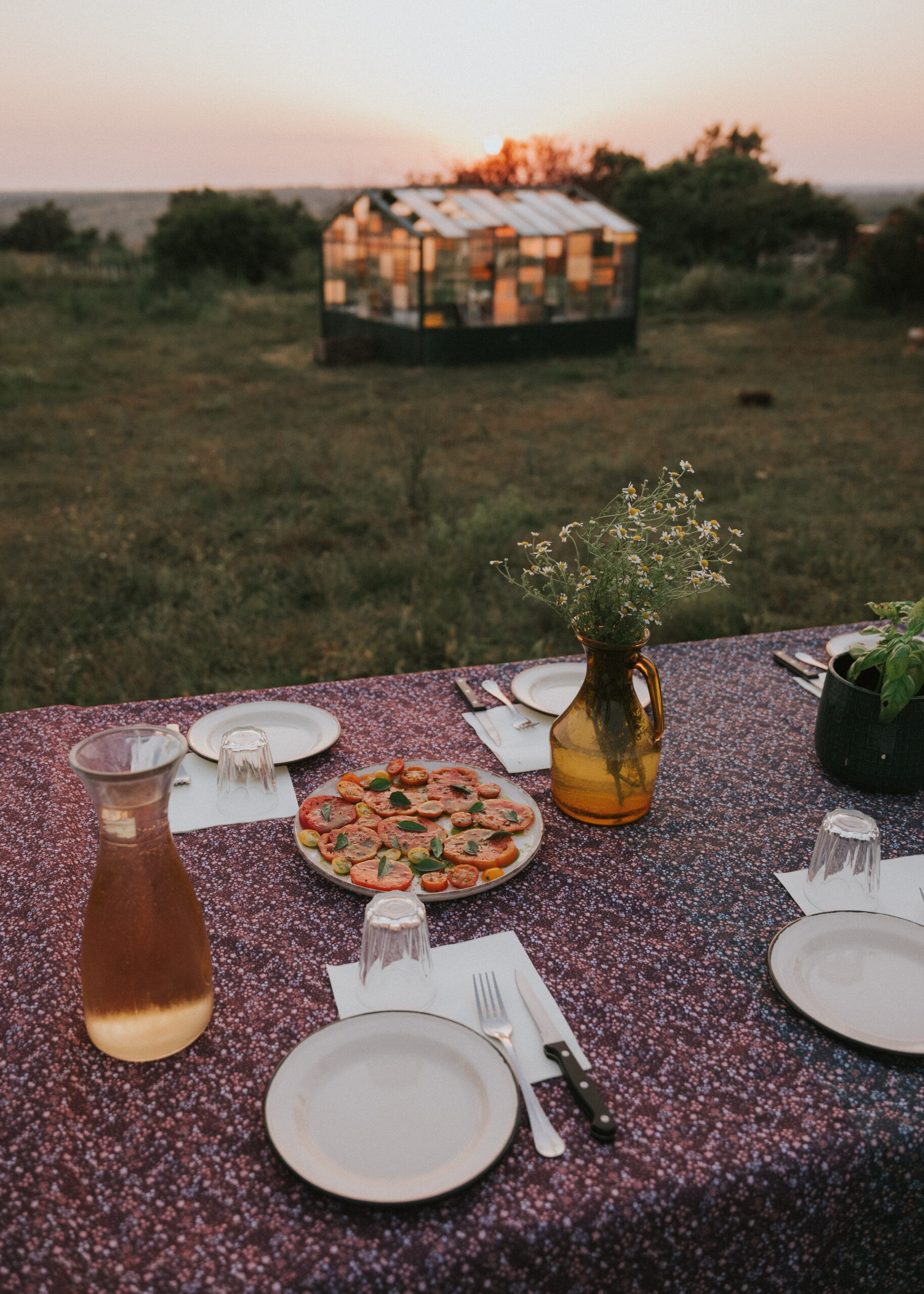 CHEESE TASTING & QUAD/BUGGY TOUR