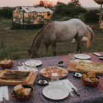 CHEESE TASTING & QUAD/BUGGY TOUR