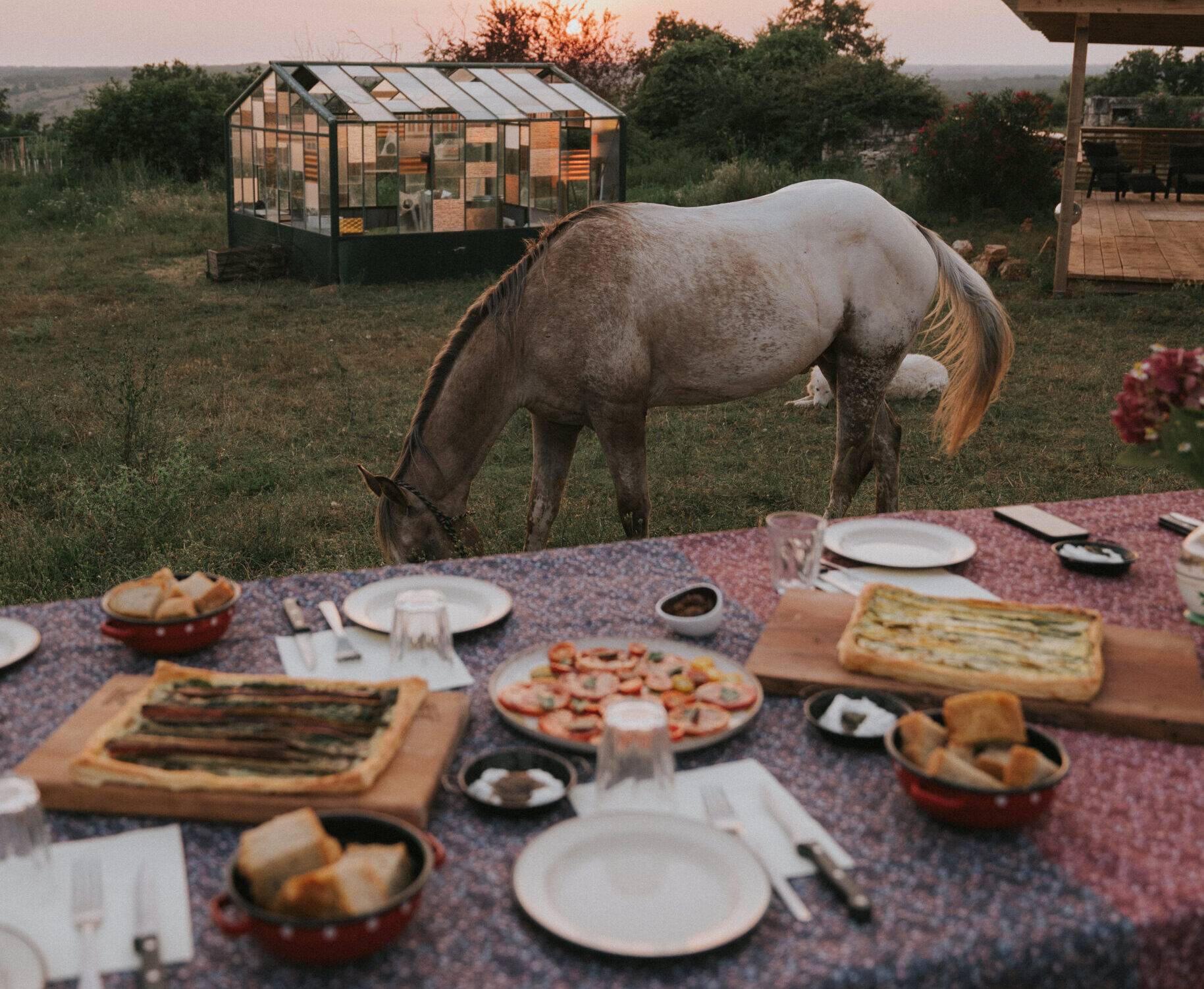 CHEESE TASTING & QUAD/BUGGY TOUR