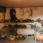 CHEESE TASTING & QUAD/BUGGY TOUR