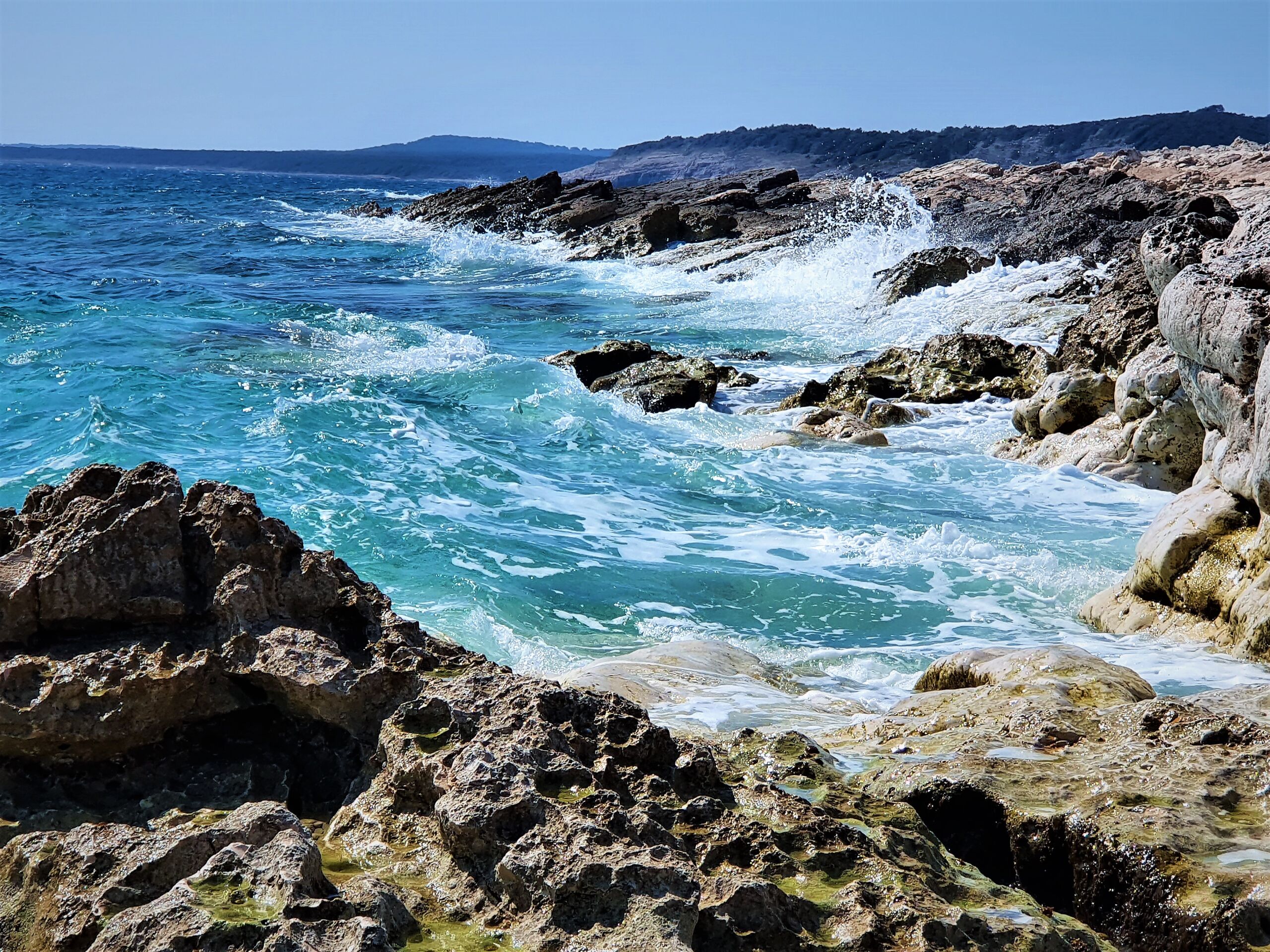 Boat excursion & snorkeling
