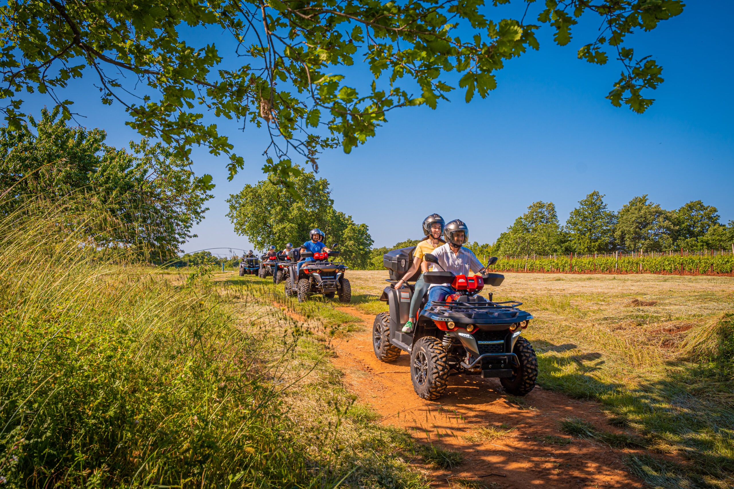 QUAD safari