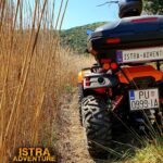 QUAD safari